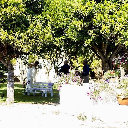 Bed and Breakfast La Purissima Alghero Exterior foto